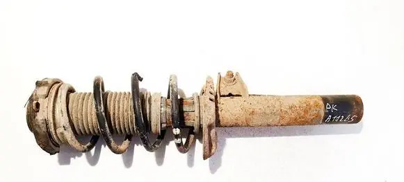 Volkswagen Golf Plus Front shock absorber/damper 