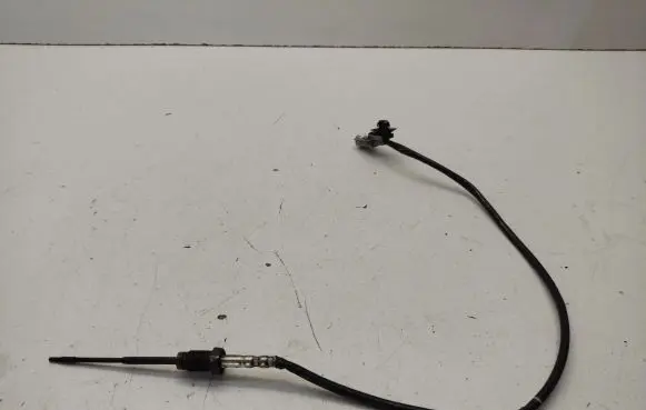 Exhaust gas temperature sensor