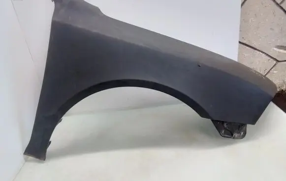 Skoda Octavia Mk2 (1Z) Fender