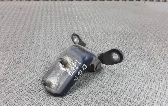 Toyota Hilux (N80, N90, N100, N110) Rear door lower hinge