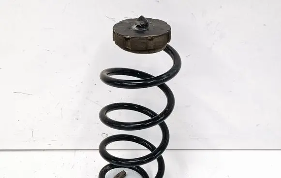 Rear coil spring