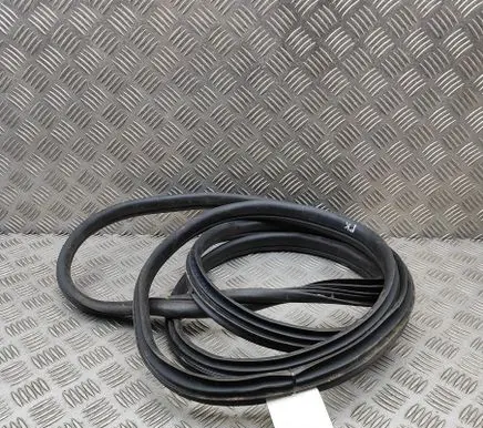 Renault Master III Rubber seal front coupe door 808320461R