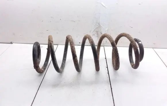 Rear coil spring
