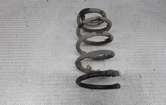 Hyundai Santa Fe Rear coil spring