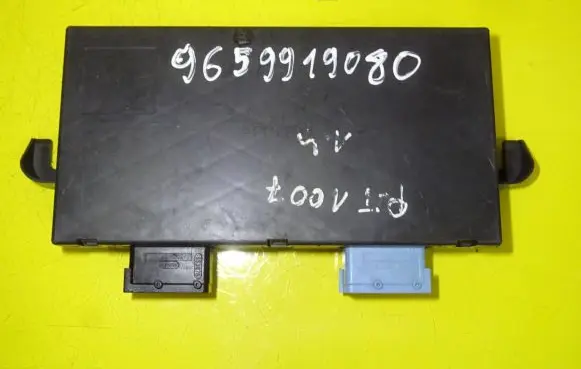 Peugeot 1007 Door control unit/module 9659919080