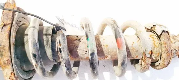 Rear coil spring