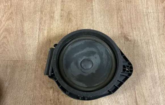 Opel Insignia A Front door speaker 13257499 43410786373