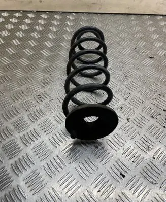 Rear coil spring