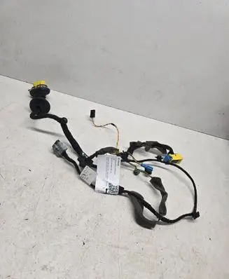 Front door wiring loom