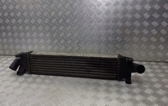Land Rover Range Rover Sport L320 Intercooler radiator 3M5H-8C607-UC