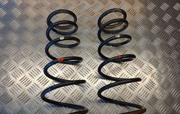 Rear coil spring