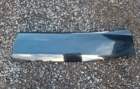 Renault Austral Rear door trim (molding) 828206725R