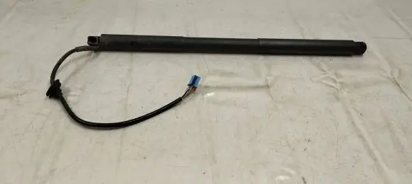 Tailgate strut