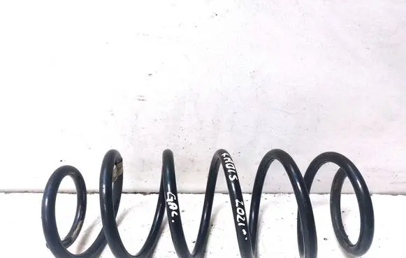 Rear coil spring