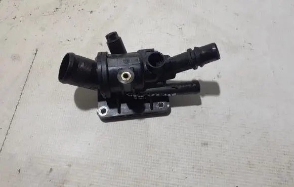Thermostat/thermostat housing