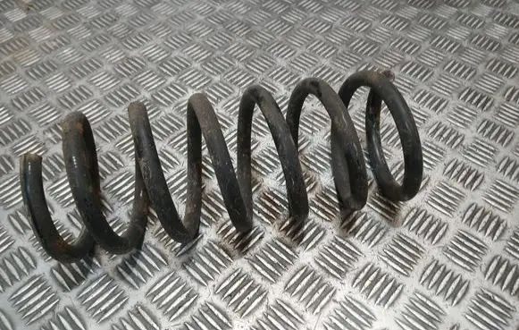 Rear coil spring