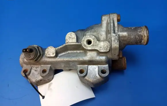 Thermostat/thermostat housing