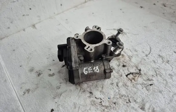 Renault Trafic II (X83) EGR valve H8200987088