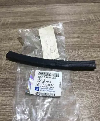 Renault Trafic II (X83) Rubber seal rear door 93864838 4420905