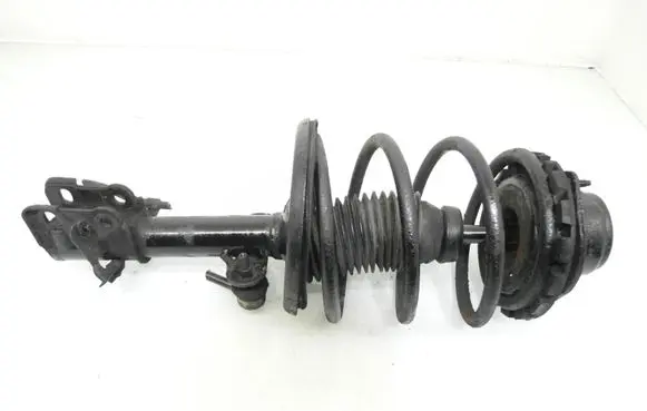 Chrysler Voyager Front shock absorber with coil spring 