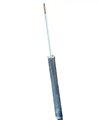 Peugeot 107 Rear shock absorber/damper 485300H030