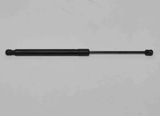 Tailgate/trunk strut/damper