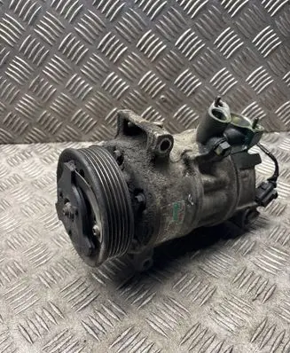 Skoda Octavia Mk2 (1Z) Air conditioning (A/C) compressor (pump) 5N0820803C 083414121B4 R134A1702P
