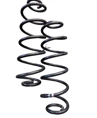 Rear coil spring