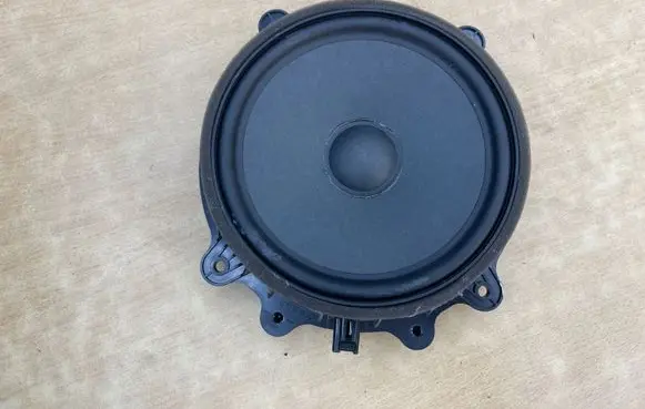 Tesla Model 3 Front door speaker 107974400E