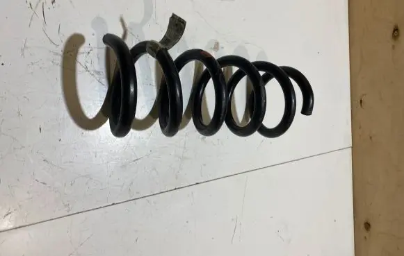 Ford Mustang VI Rear coil spring JR3C5560KA