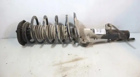 Peugeot 208 Front shock absorber with coil spring