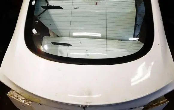 Tesla Model S Tailgate/trunk/boot lid 102541401C