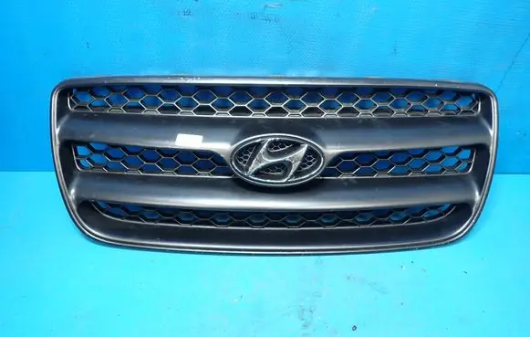 Hyundai Santa Fe Front grill 865612B000