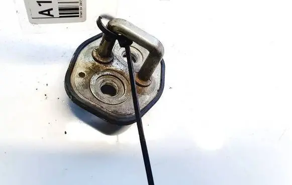 Citroen C4 I Front door lock loop/hook striker 
