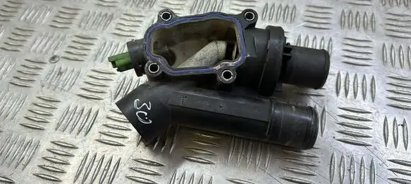 Thermostat/thermostat housing