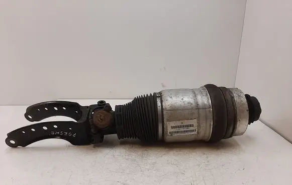 Porsche Cayenne (9PA) Air suspension front shock absorber 7L5412022BG