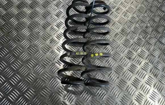 Volkswagen Tiguan Rear coil spring 