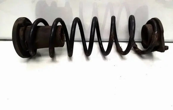 Rear coil spring