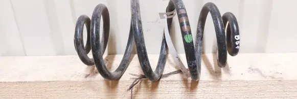 Volkswagen PASSAT B5.5 Rear coil spring