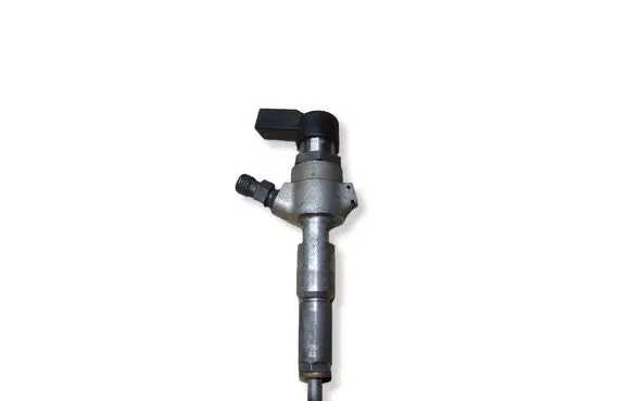 Citroen C2 Fuel injector 9663429280