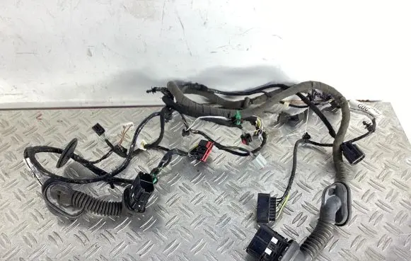 Ford Focus Front door wiring loom DM5T14A584