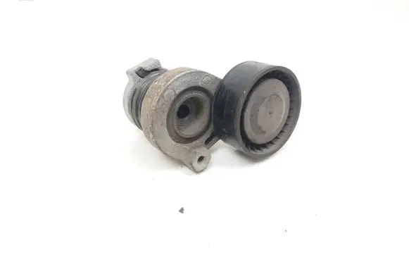 Dacia Logan II Generator/alternator belt tensioner 111501113R