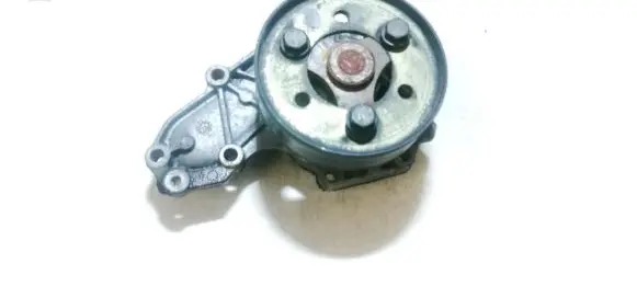 Renault Scenic I Water pump 86413