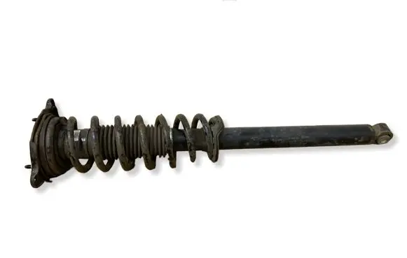Tesla Model S Rear shock absorber with coil spring 101562003D