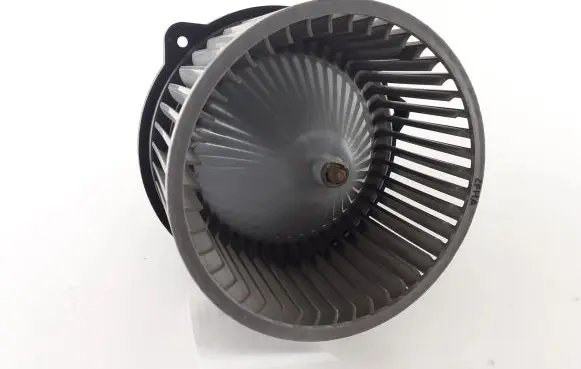 Hyundai Terracan Heater fan/blower F00S330020