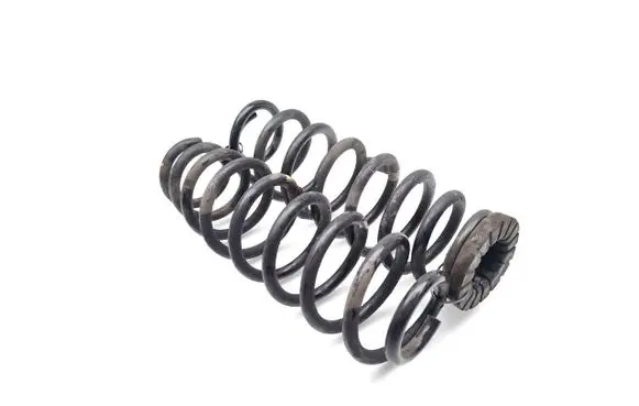 Rear coil spring