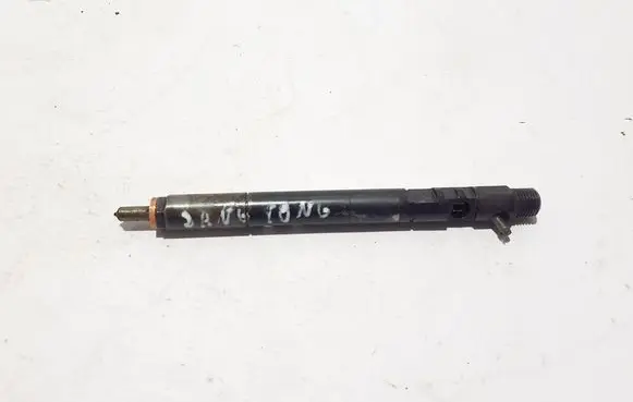 SsangYong Rodius Fuel injector EJBR04401D