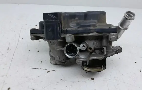 EGR valve