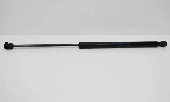 Tailgate/trunk strut/damper