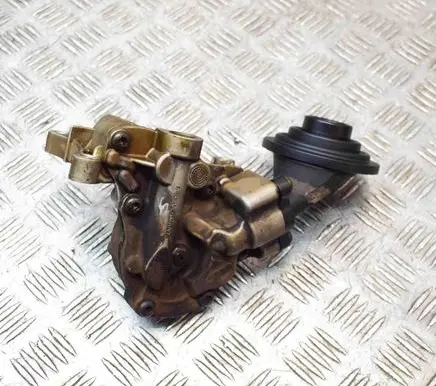 Porsche Cayenne (92A) Oil pump 06E105AN 95810701321
